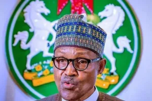 Profile 17 buhari stimulus package 1