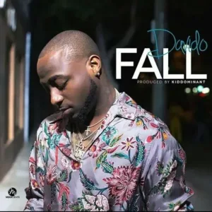 Profile 29 davido fall 1