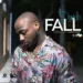 Davido’s ‘Fall’ becomes the first African song to earn gold reputation in USA
