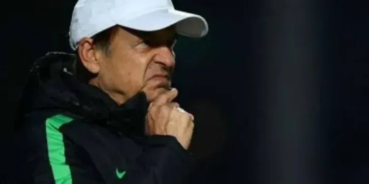 Gernot Rohr Of Super Eagles 1, Newsblenda