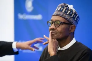 Profile 8 nigerian government