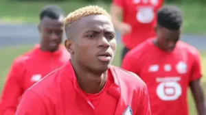 Profile 17 osimhen