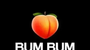 zlatan bum bum