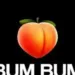 DMW Ft. Davido & Zlatan β Bum Bum Mp3 Download 10 DMW Ft. Davido & Zlatan β Bum Bum Mp3 Download