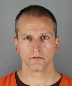 Profile 24 200603 derek chauvin mugshot inline se 329p 436fab278dd49632077d58f93b5e1966.fit 760w