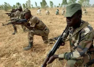 Profile 17 Nigerian military forces