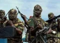 Bokoharam Killed At Least 81 People In Borno State, Nigeria