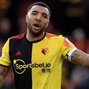 Profile 6 troy deeney