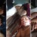 VIDEO: Only Pervert Can Do This - Reactions As Man Shares Video Of A Girl While She Was Asleep 10 VIDEO: Only Pervert Can Do This – Reactions As Man Shares Video Of A Girl While She Was Asleep