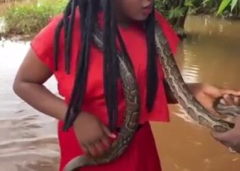 Calm down, it’s me- Nollywood Actress tells a moving snake as she hangs it over her neck (VIDEO)