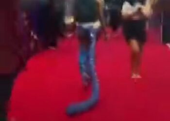 Check out startling outfit Nigerian female rapper wore to a red carpet event (VIDEO)
