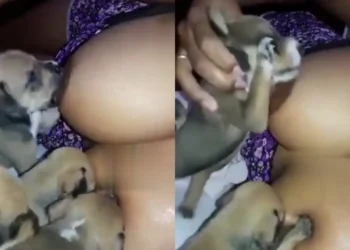 Married woman caught breastfeeding puppies (Watch Video)