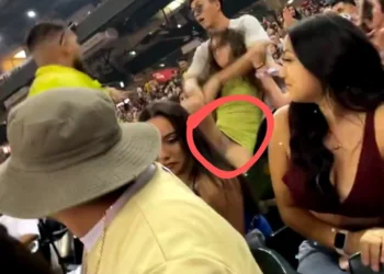 Lady exposes her underwear while defending her man in a stadium