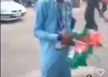 Flag vendor says people do not buy APC flag (video)