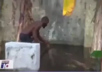 Flood washes up corpses in Bayelsa cemetery (video)