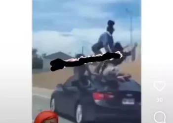 Ladies spotted cruising on top of a moving vehicle (video)