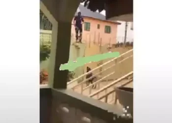 Watch moment police man gets stucked on a fence as a dog scares him from entering a compound (video)