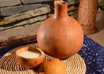 6 surprising benefits of drinking Palm Wine
