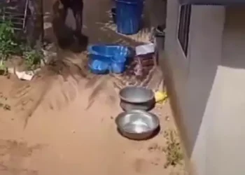 Shocking: Woman caught trying to steal a newborn baby (video)