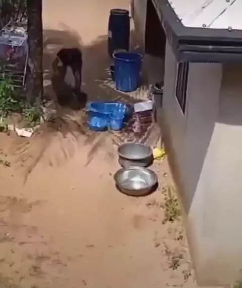 Shocking: Woman caught trying to steal a newborn baby (video) 1 Shocking: Woman caught trying to steal a newborn baby (video)