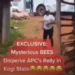 Shocking: Swarm of bees chase APC supporters in kogi (video)