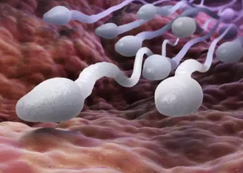 Sperm killers: Here are 5 things that man need to watch out for