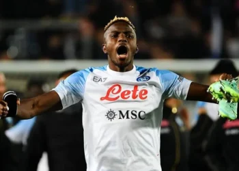See how Osimhen’s goal against Atalanta was celebrated in an Italian viewing center (Video)