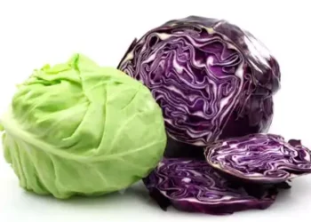 4 Reasons why you should add cabbage to your diet