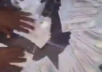 House help caught after stealing $11,000