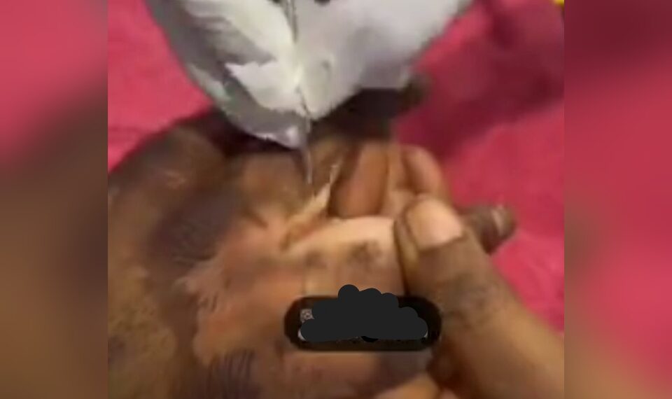 Watch unconventional manner slay queen cleans her knuckles (video) 1 Watch unconventional manner slay queen cleans her knuckles (video)