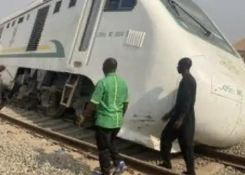 Passengers stranded as train derails inside bush
