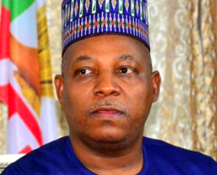 North-East APC youths withdraw support from Shettima