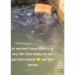 "Even sapa affect fish": Watch Moment Catfishes struggle over a loaf of bread (video) 10 “Even sapa affect fish”: Watch Moment Catfishes struggle over a loaf of bread (video)