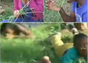 Watch moment pastor orders members of his congregation to eat grass in South Africa (video)