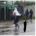 Lady spotted carrying her boyfriend on her back to cross dirty water(Video) 10 Lady spotted carrying her boyfriend on her back to cross dirty water(Video)
