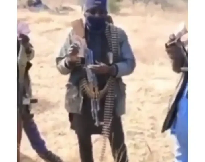 Terrorist boasts of having ₦10 Million New Naira notes cash (VIDEO) 1 Terrorist boasts of having ₦10 Million New Naira notes cash (VIDEO)