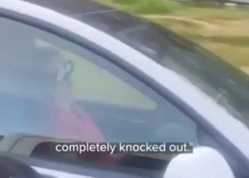 Female driver filmed sleeping in her Telsa on a California Highway  (watch video)
