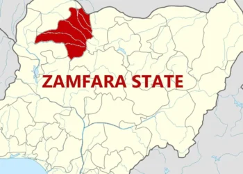 Election: Pregnant woman slumps and dies in queue in Zamfara