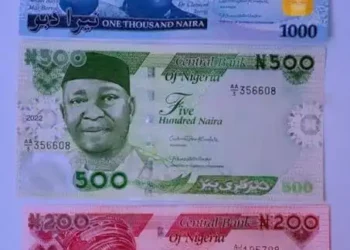SERAP sues Buhari over unlawful ban on old ₦500, ₦1000 notes