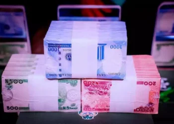 Naira Scarcity: Entrepreneurs count losses over scarcity of new naira notes