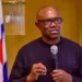 Peter Obi wins all 17 LGAs in Enugu State 10 Peter Obi wins all 17 LGAs in Enugu State
