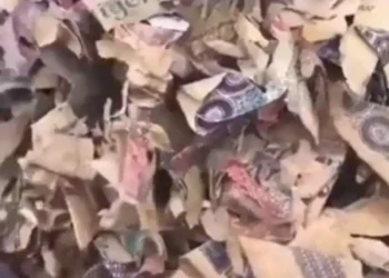 Man raises alarm over heap of shredded Old Naira Notes (video)