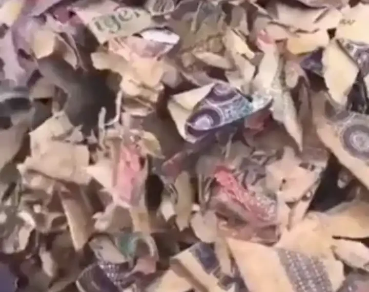 Man raises alarm over heap of shredded Old Naira Notes (video)