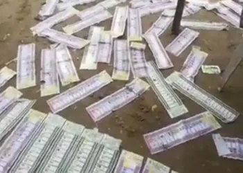 Voters pick up destroyed ballot papers, says vote must count (Video)