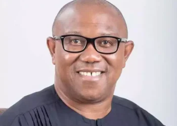 I’ll address Nigerians shortly, says Peter Obi