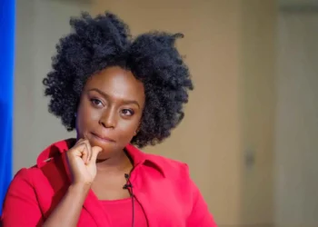 Law Professor says Adichie’s letter to Biden Seditious and Uninformed