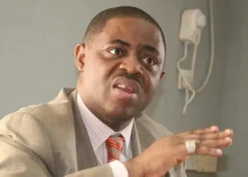 Fani-Kayode says Chimamanda’s letter to Biden is an epistle of garbage