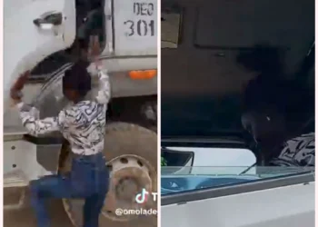 Watch Trending video of young female truck driver (video)
