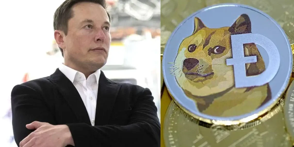 Cryptocurrency increases as Elon Musk changes Twitter logo to ‘meme dog’ 1 Cryptocurrency increases as Elon Musk changes Twitter logo to ‘meme dog’