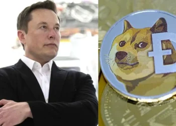 Cryptocurrency increases as Elon Musk changes Twitter logo to ‘meme dog’